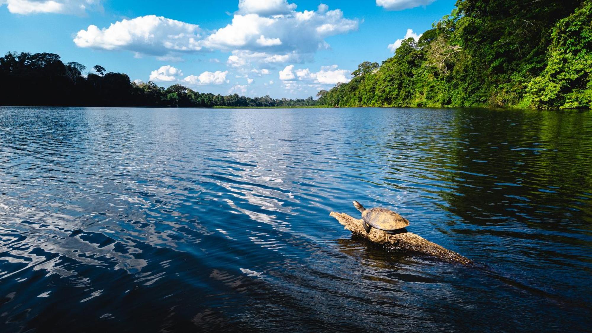 Tres Chimbadas Lake Lodge Tambopata 外观 照片